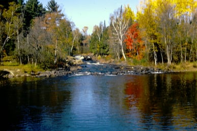 Normal Scan of a 35mm slide set to 35mm/135 slide